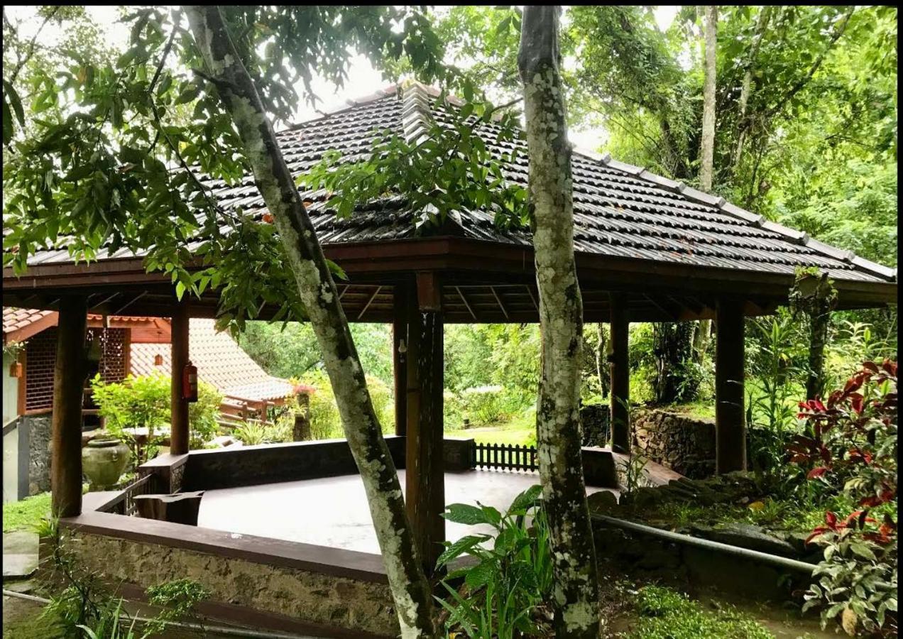 Wanakaset Forest Glamping Kitulgala Exterior foto