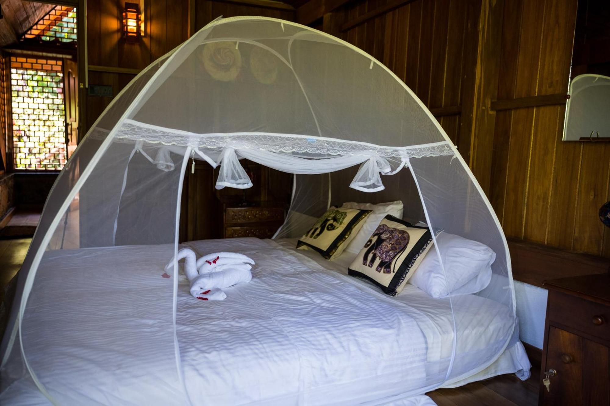 Wanakaset Forest Glamping Kitulgala Exterior foto