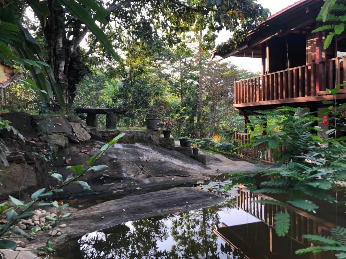 Wanakaset Forest Glamping Kitulgala Exterior foto